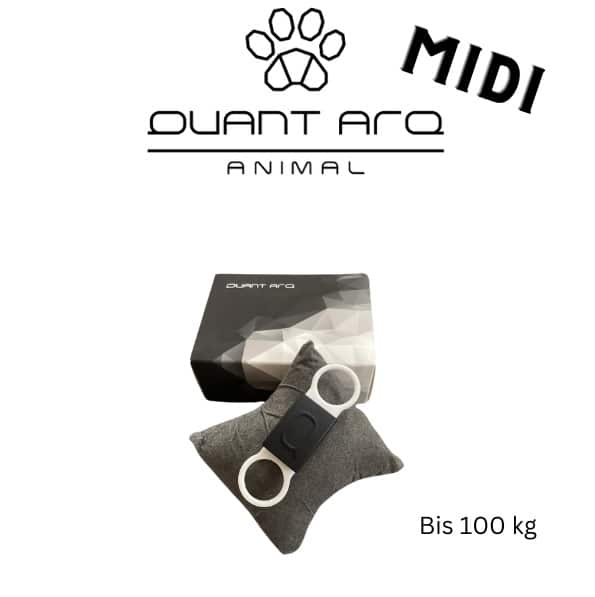 Yanoli Quant Arq Animal Midi